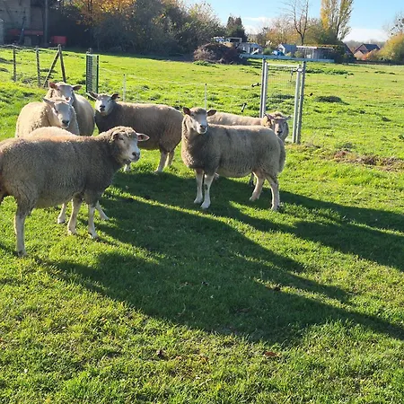Au Coin Des Champs - A La Ferme - L'abreuvoir *