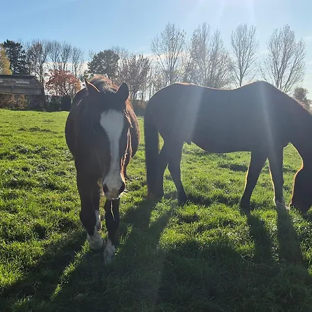 Au Coin Des Champs - A La Ferme - L'abreuvoir *